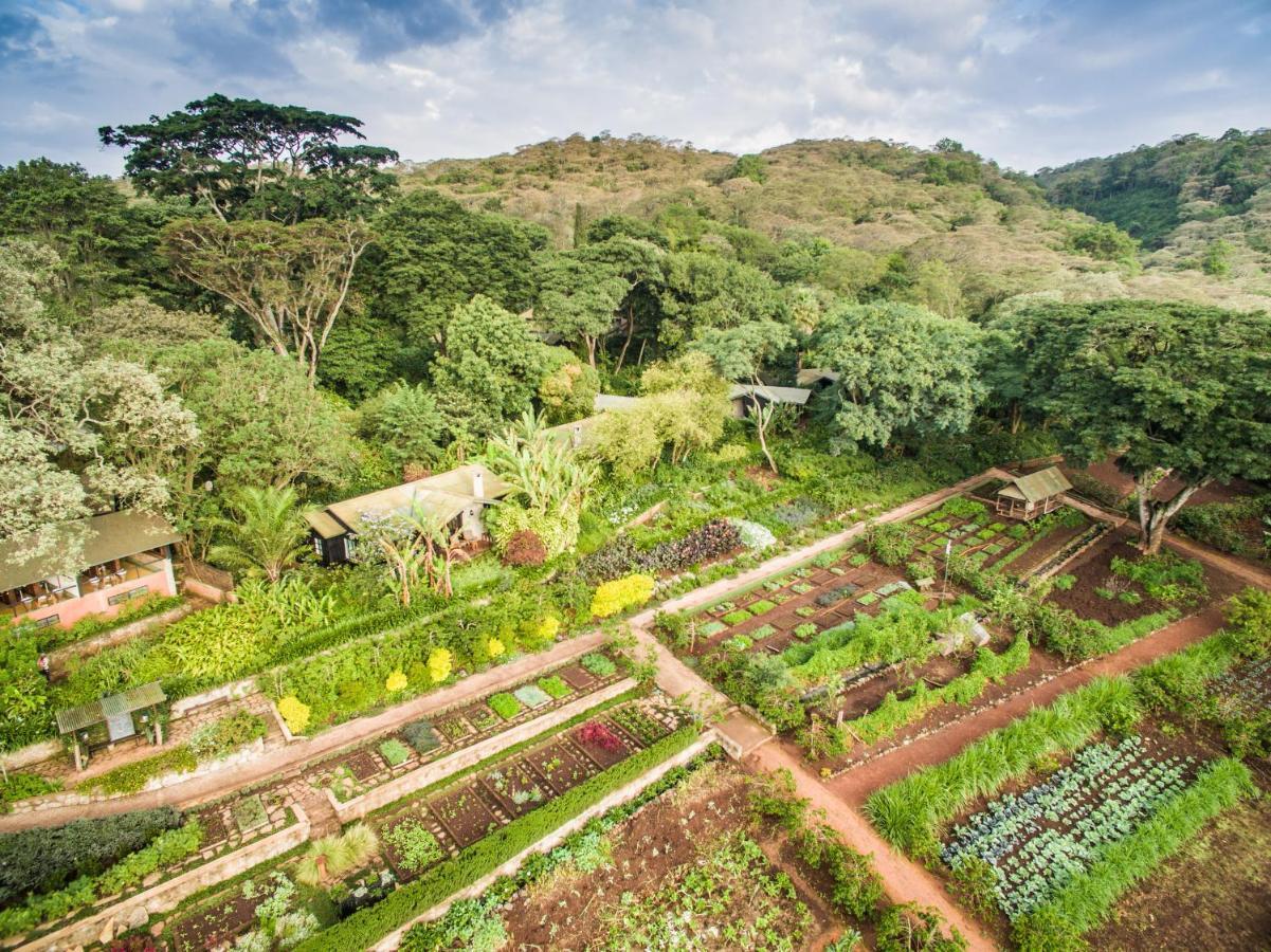 Gibb'S Farm Hotel Karatu Bagian luar foto