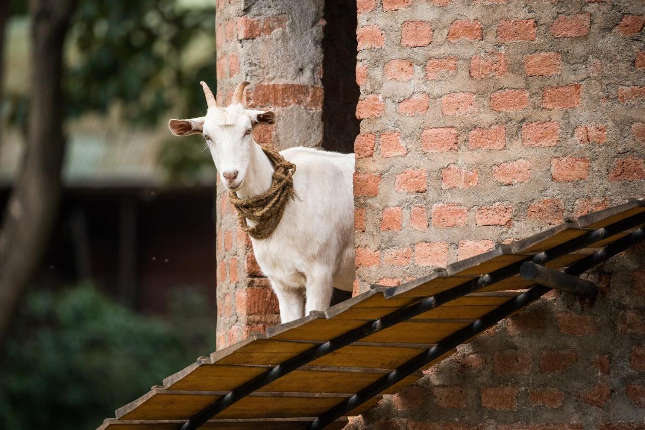 Gibb'S Farm Hotel Karatu Bagian luar foto
